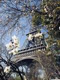 Eiffel Tower Photographic Print by Michel Lipchitz