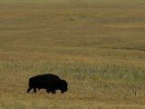 Travel Trip Tallgrass Prairie Photographic Print by Charlie Riedel
