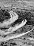 Vietnam War Agent Orange Photographic Print by  Associated Press