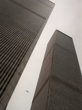 World Trade Center Photographic Print by Adam Nadel