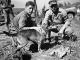 Korean War Photographic Print by F. Noll