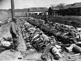 Korean War POW Casualties Photographic Print by James Pringle