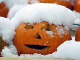 October Snow Photographic Print by Robert F. Bukaty