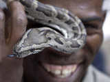 APTOPIX South Africa Yebo Gogga Photographie par Denis Farrell