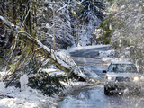 October Snow Photographic Print by Michael Dwyer