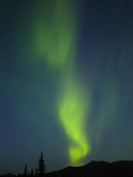 Northern Lights Photographic Print by M. Scott Moon