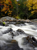 Fall Foliage Photographic Print by Jim Cole