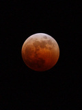 Lunar Eclipse Photographic Print by Alan Diaz