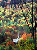 New England Foliage Photographic Print by Nancy Palmieri