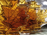 Maple Fraud Photographic Print by Toby Talbot