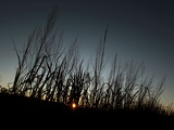 Travel Trip Tallgrass Prairie Photographic Print by Charlie Riedel
