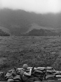 Vietnam War 1968 Photographic Print by Rick Merron
