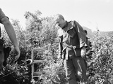 John Steinbeck Photographic Print by  Associated Press