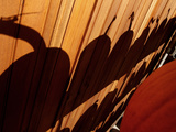 Pumpkin Shadow Photographic Print by Toby Talbot