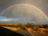 Desert Preservation Photographic Print by Reed Saxon