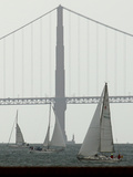 Sail Away Photographic Print by Ben Margot