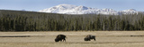 Guns National Parks Photographic Print by Douglas C. Pizac