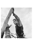 James Dean Hand on Post Posters by Frank Worth