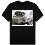 Two Young Kittens Playing with a Slow Moving Giant Tortoise, 1983 Vêtements
