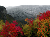 New England Foliage Photographic Print by Jim Cole