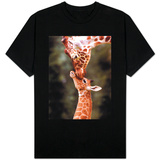 A Three Week Old Baby Giraffe with Its Mother at Whipsnade Zoo T-shirts