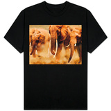 African Elephants T-shirts