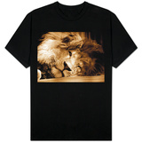 Lion Sleeping at Whipsnade Zoo Asleep One Eye Open, March 1959 T-shirts
