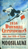 Downhill Skiing Vintage Wood Sign