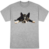 Boston Terrier T-Shirt