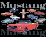 Mustang Collage Blechschild