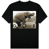 Elephant and Girl T-shirts