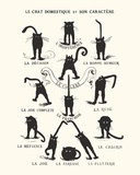 French Caractere Le Chat Domestique et son Caractere Masterprint