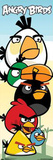 Angry Birds - Group Prints