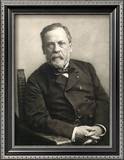 Louis Pasteur (1822-1895) Framed Photographic Print by Gaspard Felix Tournachon Nadar