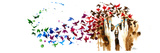 Birds Birds Birds Giclee-vedos tekijänä Lora Zombie Birds Birds Birds Giclee-vedos tekijänä Lora Zombie