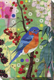 Eastern Bluebird Stretched Canvas Print