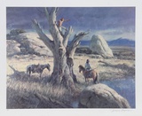Vantage Point Limited Edition by Duane Bryers