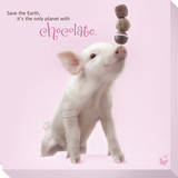In The Pink! - Chocolates Stretched Canvas Print