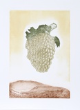 Golden Grapes Limited Edition by Hank Laventhol