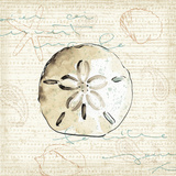 Ocean Prints IV Affiche par Pela 