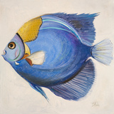 Little Fish III Posters by Patricia Pinto