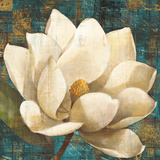 Magnolia Blossom Turquoise Poster by Albena Hristova