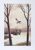 Coming in (Ducks) Limited Edition by Allen Friedman