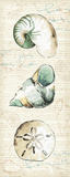 Ocean Prints VI Posters by Pela 