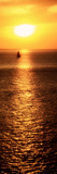 Sailboat at Sunset I Prints by Kathy Mansfield