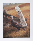 Young Jake Limited Edition by Allen Friedman
