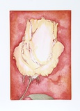 Yellow Rose Limited Edition by Hank Laventhol