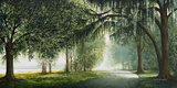 Lake Shore Drive I Prints by Bruce Nawrocke