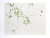 Apple Blossoms Limited Edition by Jon D'Orazio