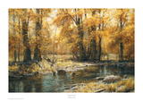 Autumn's Veil Prints by Robert Peters